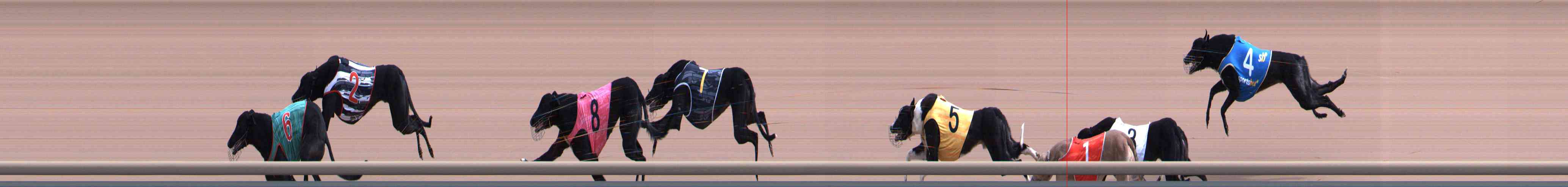 Race result finish photo